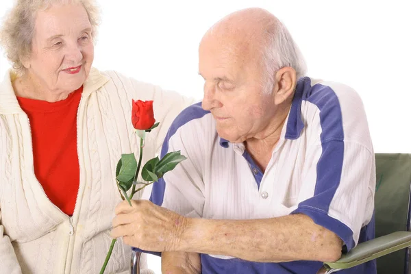 妻子给残疾丈夫一朵玫瑰 — 图库照片
