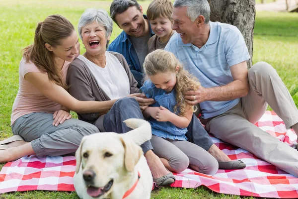 Alegre Familia Extendida Con Perro Mascota Sentado Manta Picnic Parque —  Fotos de Stock