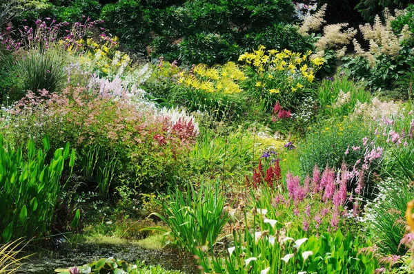 Garten Szene Resonanz Auf Einen Solchen Anblick Auf Der Ganzen — Stockfoto