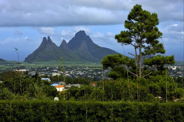 Oblačná Hora Rostlina Strom Kopec Trou Aux Cerfs Mauritius — Stock fotografie