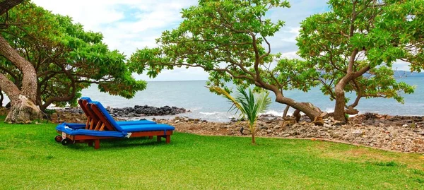 Spiaggia Tropicale Con Alberi Due Sedie Blu Sull Erba — Foto Stock