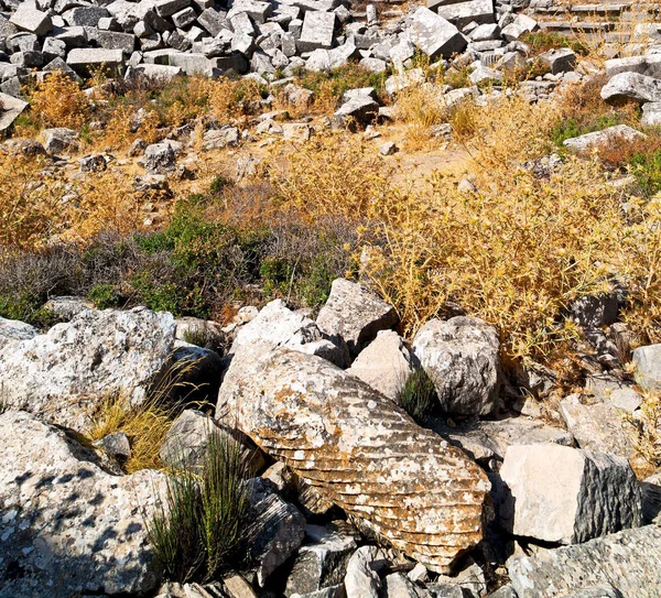 Starý Chrám Divadla Termessos Antalya Turecko Asie Oblohy Zříceniny — Stock fotografie