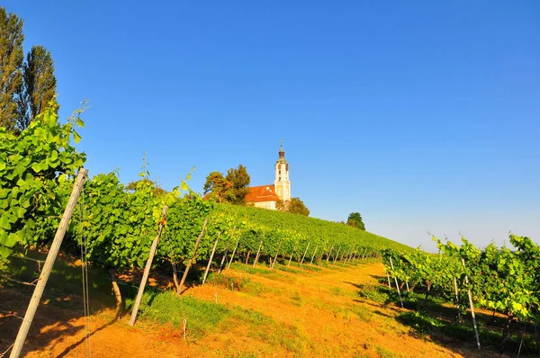 Église Baroque Monastère Birnau Bord Lac Constance — Photo