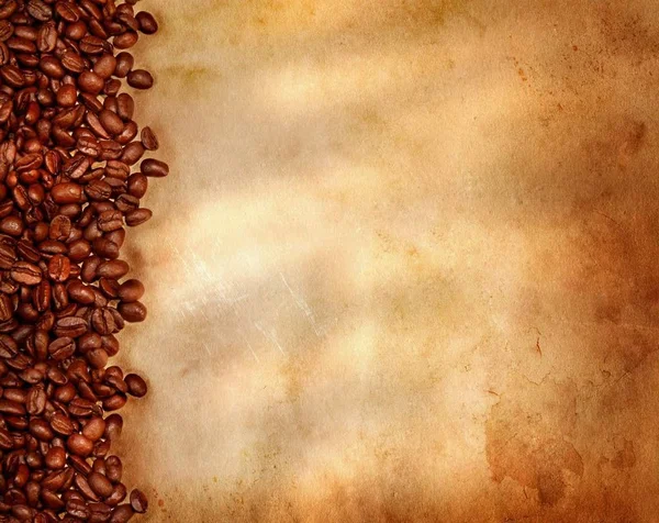 Coffee beans on old parchment paper