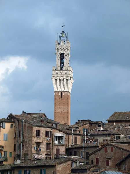 Siena Panorama Del Casco Antiguo Ciudad Con Una Torre Delgada — Foto de Stock