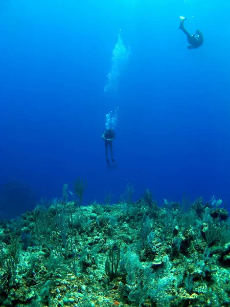 Dois Mergulhadores Preparando Para Atravessar Muro Cayman Brac — Fotografia de Stock