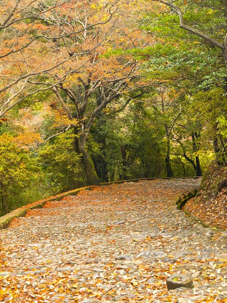Лестница Парке Осенью — стоковое фото