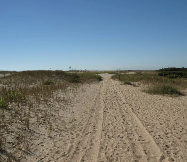 Solitario Camino Arenoso Largo Orilla — Foto de Stock