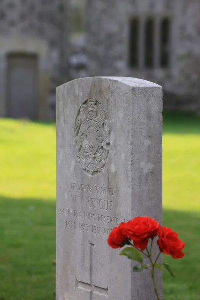 第一次世界大戦で命を落とした人々に敬意を表して 赤いバラが生い立つ記念頭石 ウィルトシャーのソールズベリー近くに位置 — ストック写真