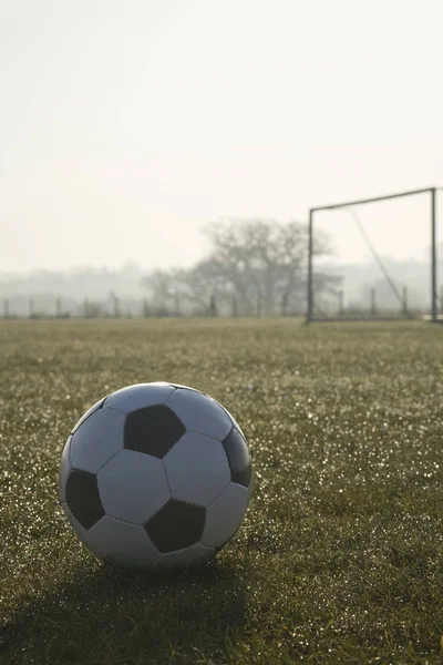 black and white football on a empty football pitch,frosty winter morning sunrise