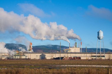 A paper mill in Oregon emits smoke and pollution into the clean air and blue sky overhead. clipart