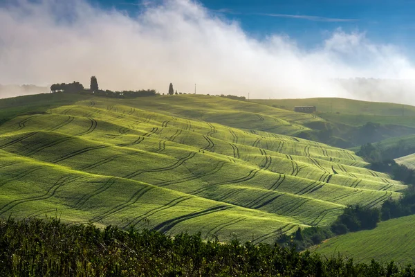 Pienza Toscana Italia Maggio Nebbia Val Orcia Toscana Maggio 2013 — Foto Stock