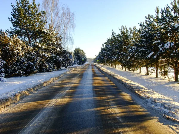 Δρόμος Που Οδηγεί Μέσα Από Λευκό Ψυχρό Χειμερινό Δάσος Στη — Φωτογραφία Αρχείου