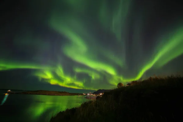 Aurora polaris - Nordlyset - Bronnoysund