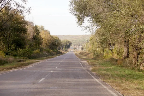 Estrada Direta Vazia Árvores Com Céu Cinzento — Fotografia de Stock