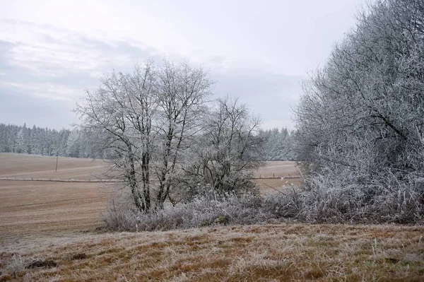 Vintern Dimmigt Landskap Täckt Med Snö Och — Stockfoto