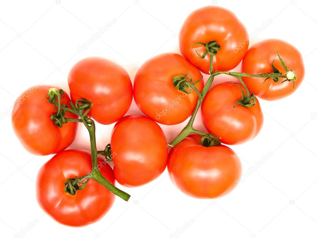 YAYImages
