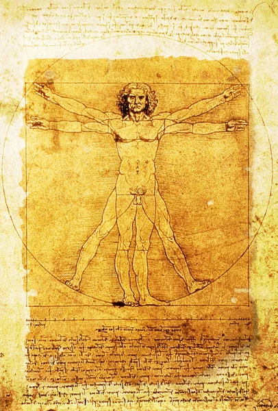 Leonardo Vitruvius Férfi Egy Régi Robusztus Pergamen Dokumentum — Stock Fotó