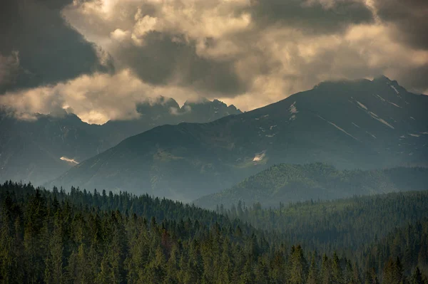 Bos Groene Berg Boslandschap Mistige Bergbos Fantastische Boslandschap Bergbos Wolken — Stockfoto