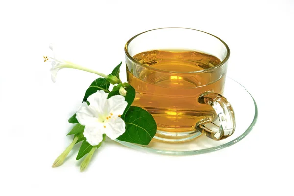 Чай Цветок Изолированном Белом Фоне — стоковое фото