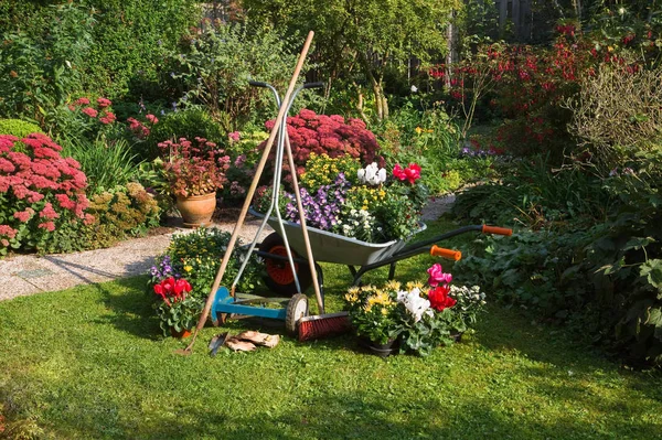 Skottkärra Gräs Klippare Trädgårdsutrustning Förberedelser För Plantering Nya Växter Trädgården — Stockfoto