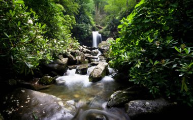 Grotto Falls Waterfall and Cascades in Green Forest, Gatlinburg Tennessee, Great Smoky Mountains National Park clipart