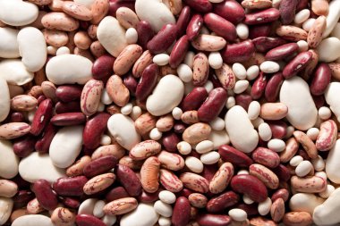 Close up on various types of beans clipart