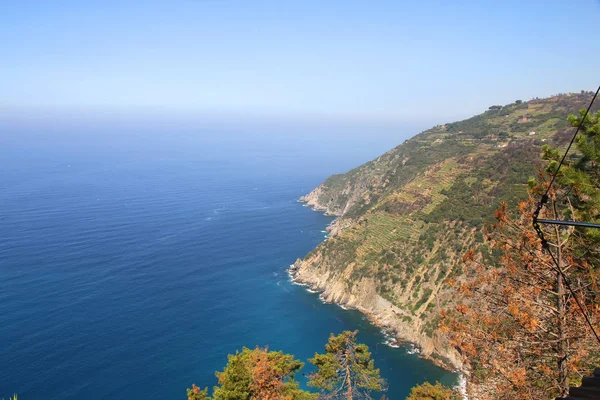 チンクエテッレ イタリアの海岸を表示します — ストック写真