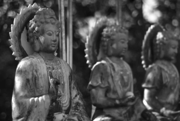 Taiwan Potete Vedere Idolo Buddha Ovunque Usanza Religiosa — Foto Stock