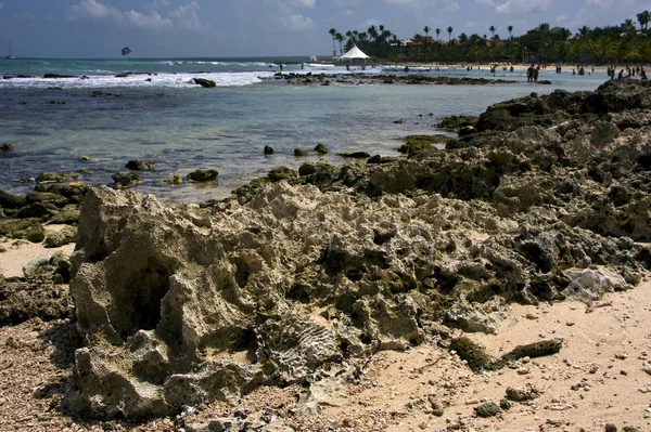 Пляжний Камінь Кам Яна Кабіна Пальма Республіці Домінікана — стокове фото