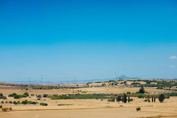 Κλασσική Παγκύπρια Πανοραμική Θέα Του Τοπίου Της Ερήμου Μικρά Δέντρα — Φωτογραφία Αρχείου