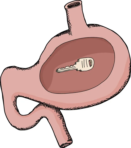 Llave Única Escondida Dentro Del Estómago Humano Dibujos Animados —  Fotos de Stock