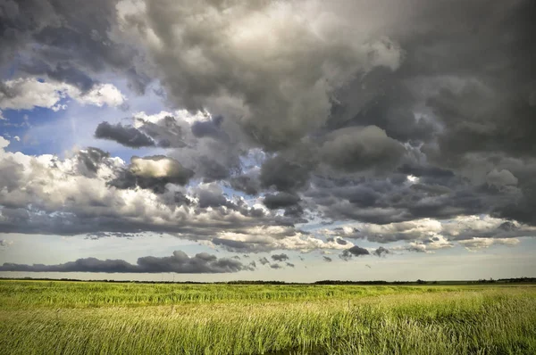 Mörka Moln Bildar Väntande Storm Över Alberta Grain Gröda — Stockfoto