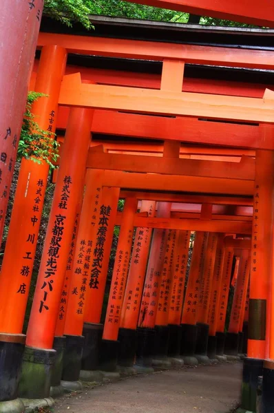 Torii Gates Vid Fushimi Inari Shrine Kyoto Japan — Stockfoto