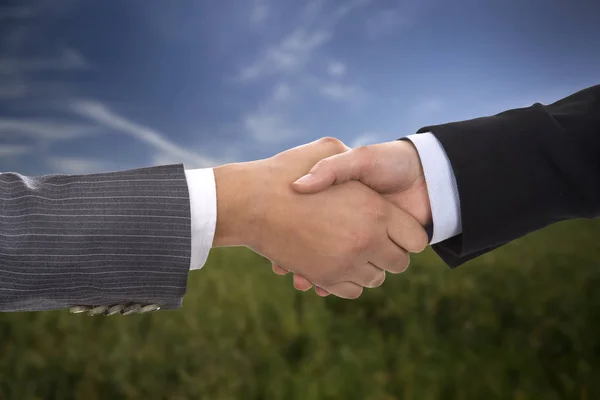 Business Woman Handshake Blurred Background — стоковое фото