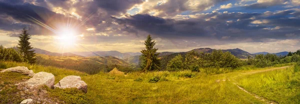 Пнорамный Пейзаж Коллажей Валуны Лугу Тропинкой Склоне Холма Двумя Соснами — стоковое фото