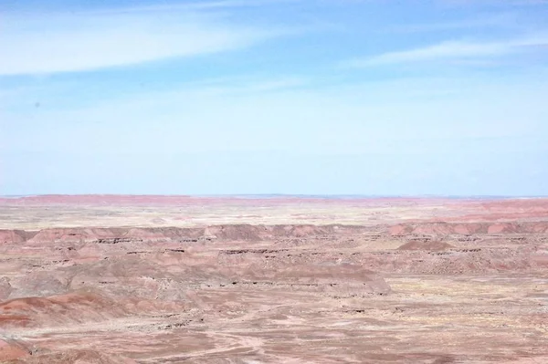 Petrified Forest National Park Woestijngebied Met Planten Dieren Fossielen Archeologische — Stockfoto