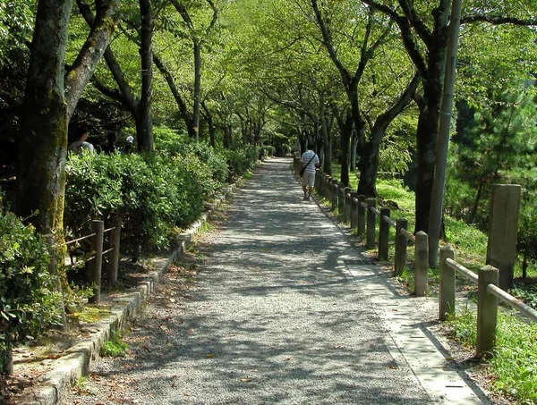 Hito Muy Importante Kyoto Tradicional Japón Camino Del Filósofo Aspecto — Foto de Stock
