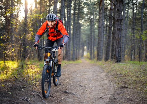 Fietser Rijdt Fiets Trail Het Bos Extreme Sport Concept — Stockfoto