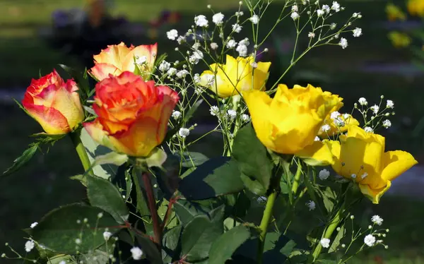 Buquê Rosas Coloridas Tiro Close — Fotografia de Stock