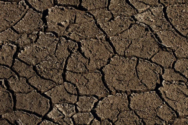 Rissige Und Ausgetrocknete Trockene Erde — Stockfoto