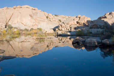 Barker Dam is a water-storage facility located in Joshua Tree National Park in California. The dam was constructed by early cattlemen, and is situated between Queen Valley and the Wonderland of Rocks near the Wall Street Mill. clipart
