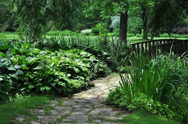 Jardín Botánico Con Grandes Plantas Hosta — Foto de Stock