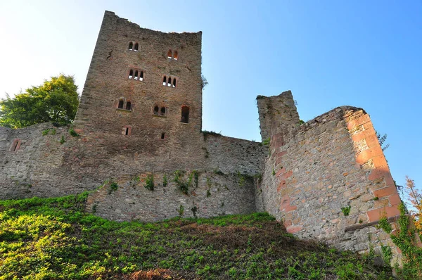 Veduta Del Castello Medievale Schauenburg Vicino Oberkirch Contea Ortenau Baden — Foto Stock