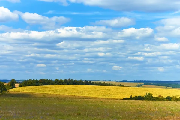 Landsbygdslandskap Lätta Vita Moln Hängande Över Pittoreska Fält Ängar Och — Stockfoto