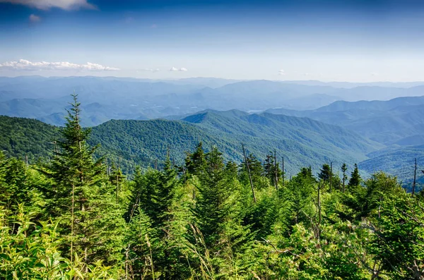 Široký Výhled Great Smoky Mountains Vrcholu Kopule Clingman — Stock fotografie