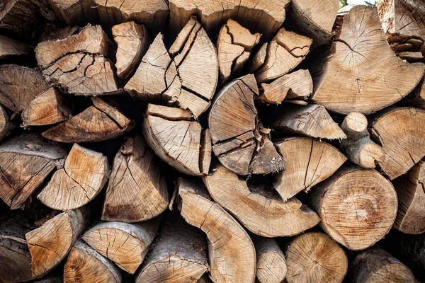 Kurutulmuş Odun Odunları Kış Için Hazır — Stok fotoğraf