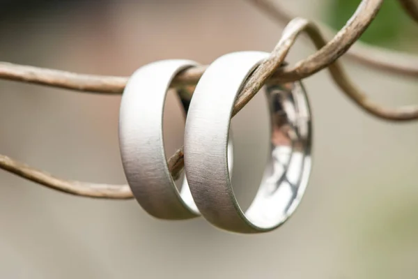 Vista Par Anéis Casamento Dourados Brancos Conectados Natureza — Fotografia de Stock