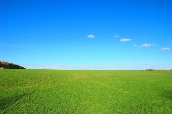 Photo Green Field Stack — Stock Photo, Image