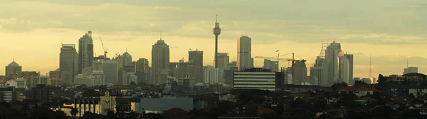 Сідней Кбр Панорама Сфотографуватися Maroubra Вузол Sydney Башта Середині — стокове фото